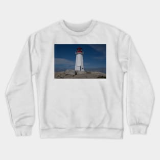 850_4884 Crewneck Sweatshirt